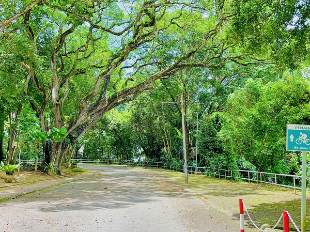 It’s the perfect spot to unwind and connect with nature🇲🇾