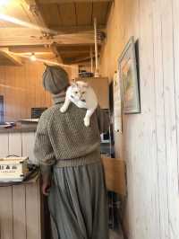 【福岡カフェ】