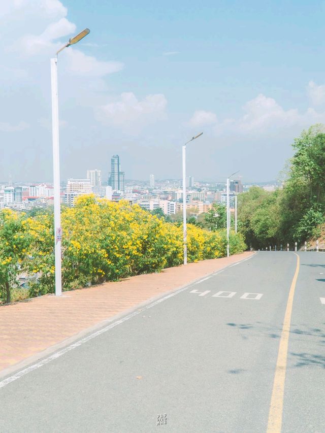 🌅 มุมถ่ายรูปพัทยาสุดฮิตฟีลเกาหลี ปูซาน
