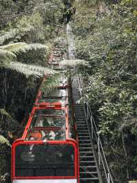 🇦🇺悉尼 世界上最陡的商業纜車 斜度達 52 度 超刺激！🚠