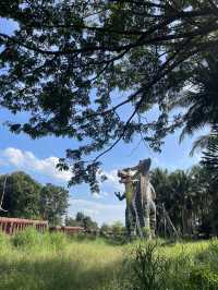 ดูไดโนเสาร์ ที่ปราจีนบุรี🦖🦕