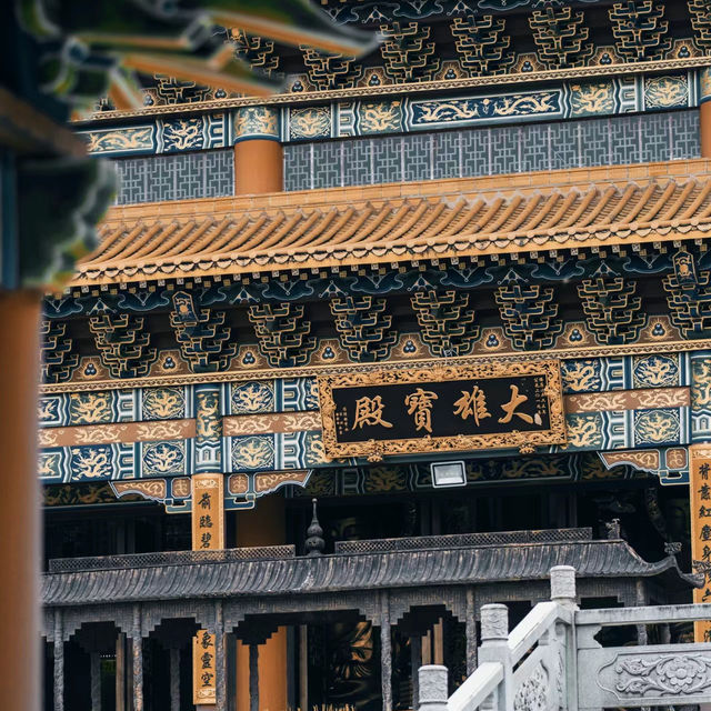 🌿靜心修行的理想之地🧘‍♂️金台寺