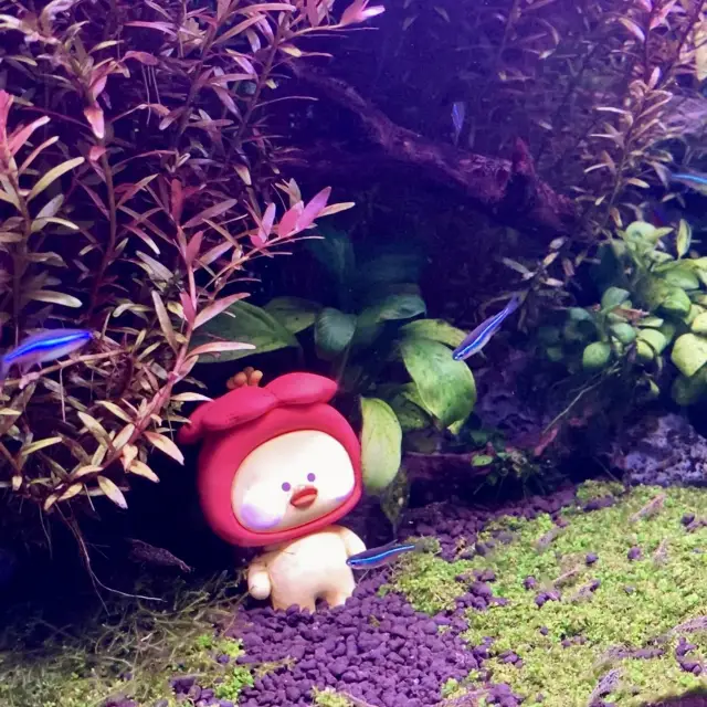 ระบบนิเวศของทะเล