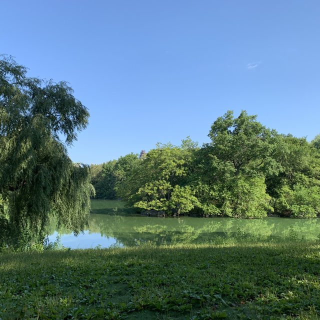 Urban Oasis: A Perfect Day in Central Park