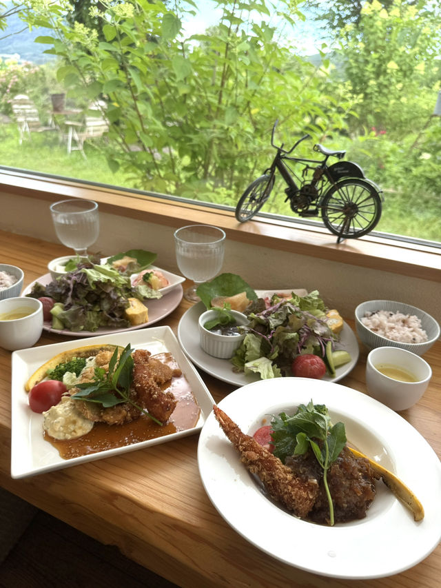 【福岡カフェ】緑いっぱいのお庭を眺めながらランチできるカフェ🍽