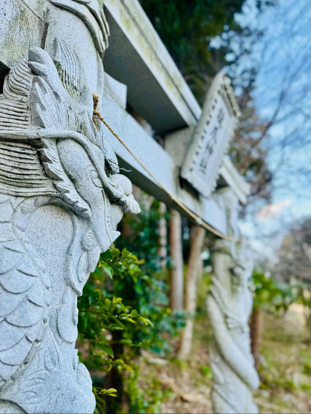 【穴場】鳥居に巻き付く二体の龍が超レアで大迫力❗️辰年を締めくくるご利益を授かれそうなパワスポ神社✨