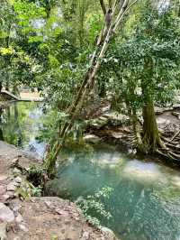 น้ำพุธรรมชาติบ้านท่าช้าง เขาใหญ่🌳