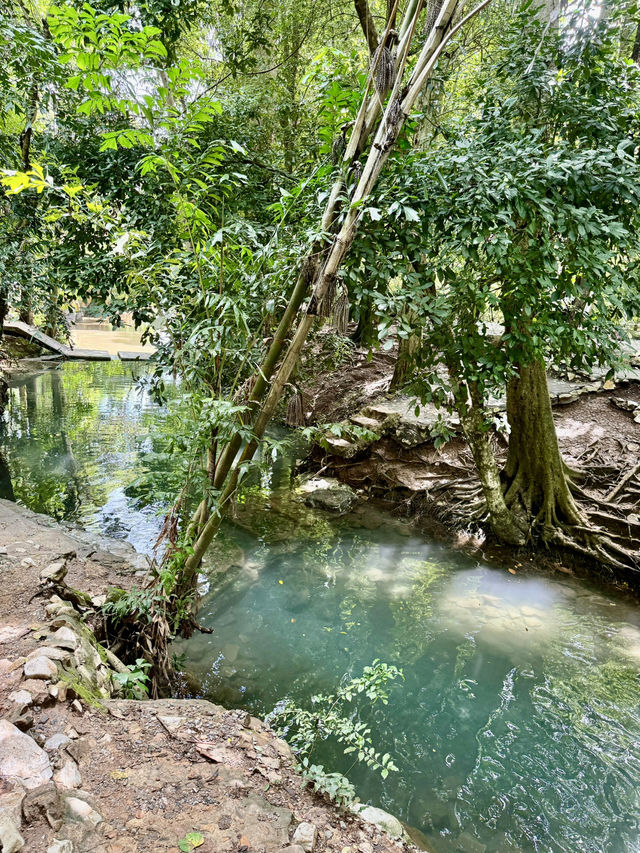 น้ำพุธรรมชาติบ้านท่าช้าง เขาใหญ่🌳