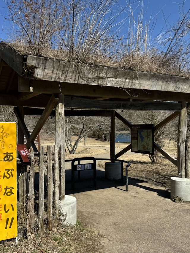 후지산 명당 추천, 후지산 여행 필수 코스