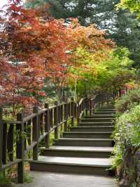 The garden of morning calm is beautiful all year around
