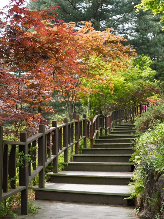 The garden of morning calm is beautiful all year around