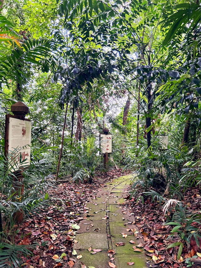 Exploring Labrador Nature Reserve 