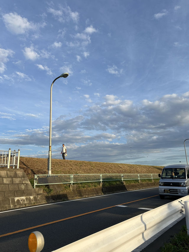 일본 소도시 시바마타 공원🌳🩵