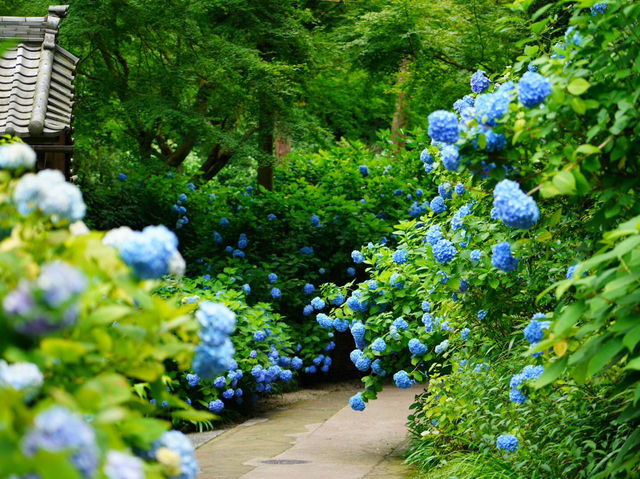 【神奈川/鎌倉】おすすめの観光スポット