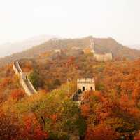 Mutianyu section of the Great Wall of China in autumn is stunning