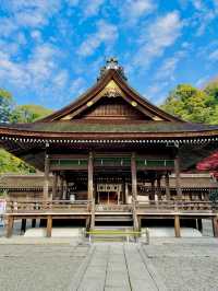 【京都府】白兎が可愛い