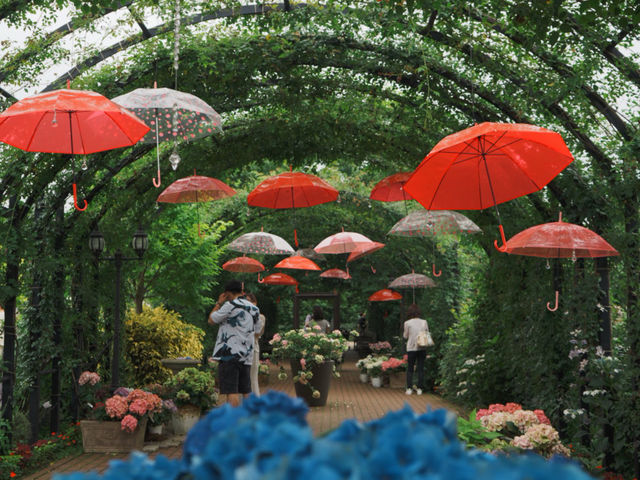 【横浜観光】花と緑に囲まれた癒しの空間「横浜イングリッシュガーデン」🌸🌿