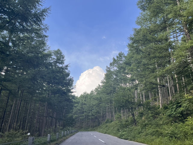チェリーパークラインで高峰高原をドライブ@長野🛣️