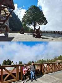 🚂 Alishan Train Station 
