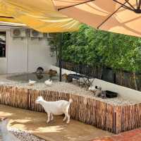  Little Zoo Garden Cafe