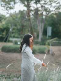Rice Field Home Farm Stay & Cafe