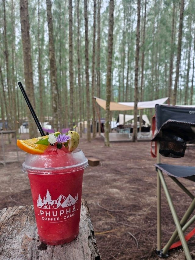 Phupha Coffee Camp ภูผา คอฟฟี่ แค้มป์