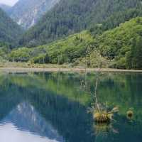 🌿 Exploring Jiuzhaigou: Nature’s Hidden Gem in Sichuan, China! 🌧️  