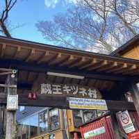 【宮城】蔵王キツネ王国🦊