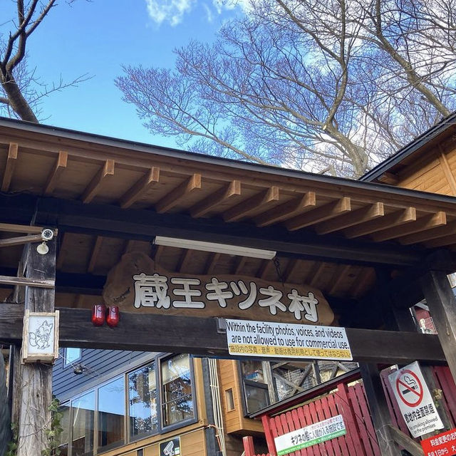 【宮城】蔵王キツネ王国🦊
