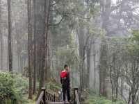 Alishan's Dawn to Dusk Magic