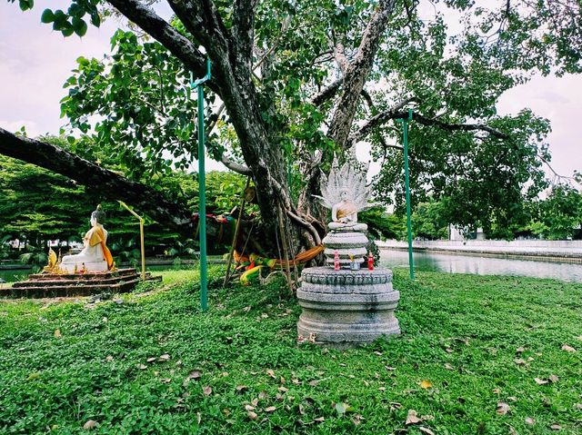 曼谷寺廟景點：Wat Phra Si Mahathat Woramahawihan瑪哈泰寺，適合休息發呆拍照📸打卡