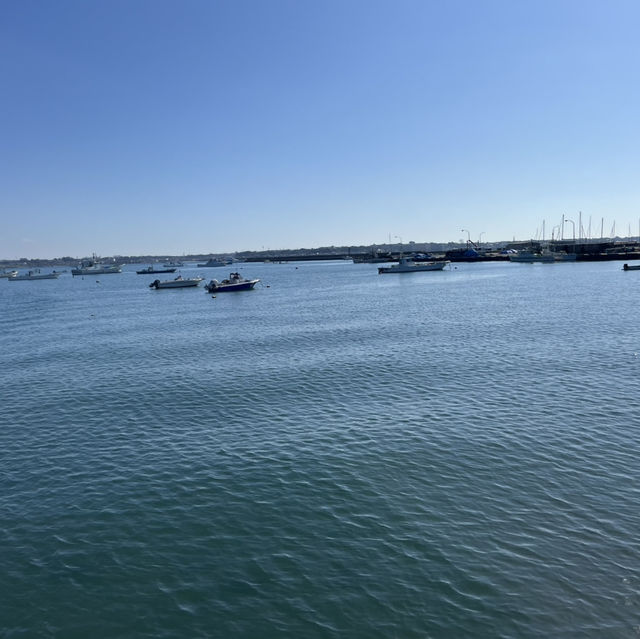 海鮮ひこのや