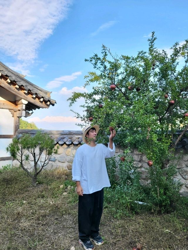 가을 운치 즐기기 좋은 고즈넉한 한옥카페
