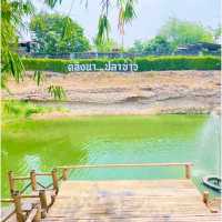 คลังนา ปลาข้าว