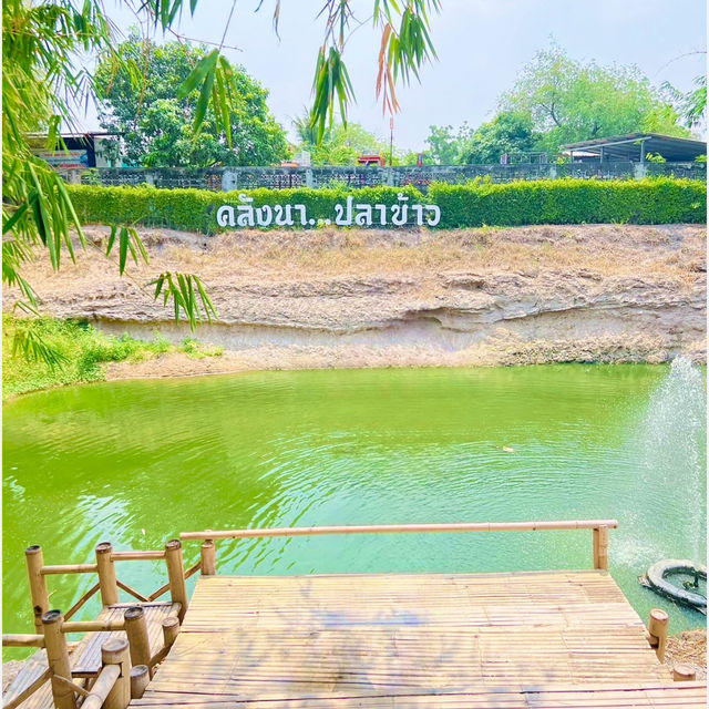 คลังนา ปลาข้าว