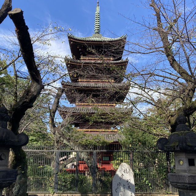 上野公園景點推薦｜東照宮