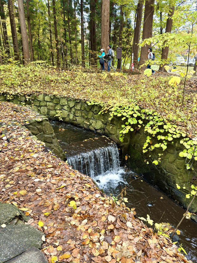 北海道　札幌観光　円山八十八ヶ所大師堂2024 紅葉の円山八十八ヶ所を散策してみた！