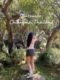 คาเฟ่แดนเทวดา สุดธรรมชาติ🌴