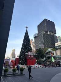 Bangkok❕Ayutthaya❕Phuket❕Phiphi Island❕
