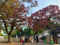 สวนสัตว์และพฤกษศาสตร์ฮิงาชิยามา 東山動植物園