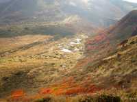 【大分県】くじゅう連山でもっとも美しい紅葉！大船山
