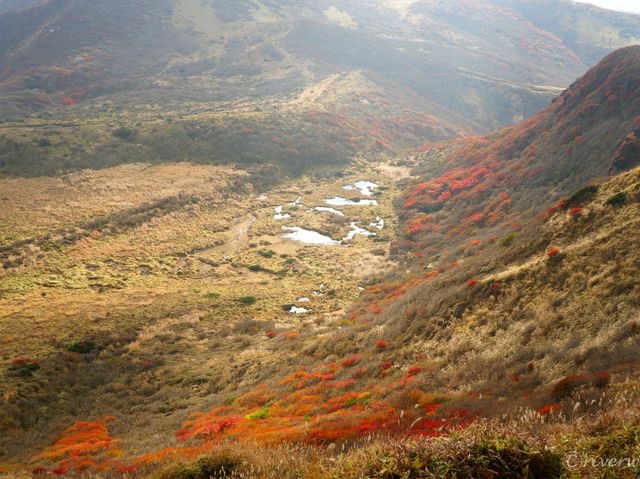 【大分県】くじゅう連山でもっとも美しい紅葉！大船山