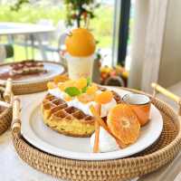 啟德玻璃屋濟洲feel cafe😚