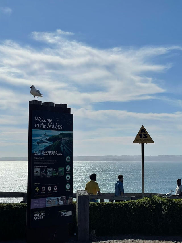 Phillip Island: Wildlife Wonders and Coastal Beauty