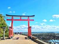 最美沿海 - 宮崎一日自駕景點推薦