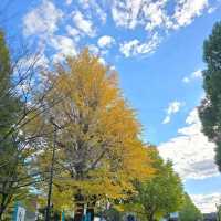 Ueno Park2024