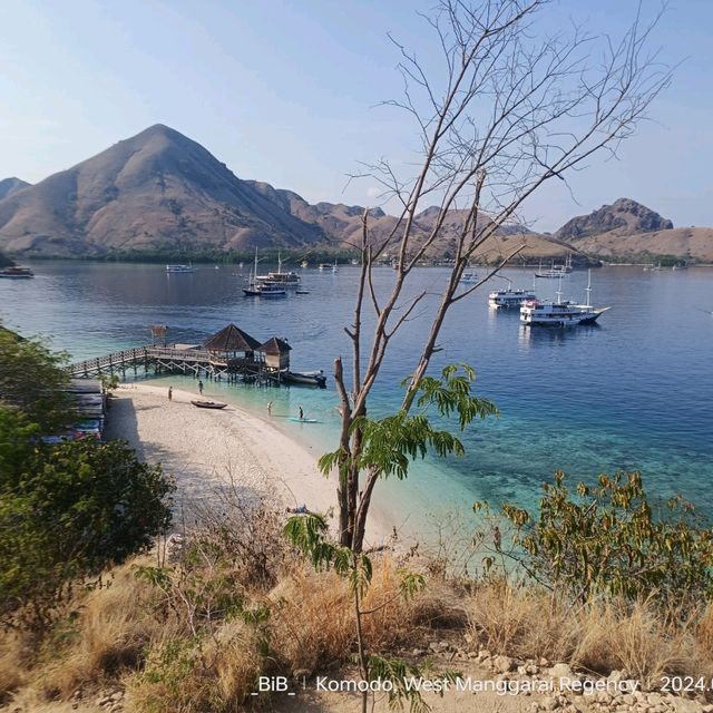 hopping & hopping & hopping 