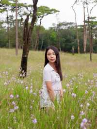 รีวิว ภูสอยดาวฉบับคนขี้เกียจก็ขึ้นได้ 🌳⛰️