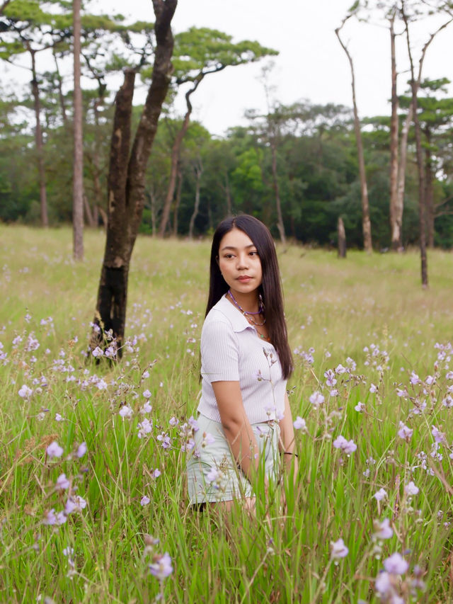 รีวิว ภูสอยดาวฉบับคนขี้เกียจก็ขึ้นได้ 🌳⛰️