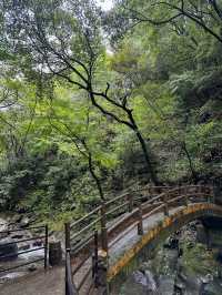 Nature’s Masterpiece in Miyazaki